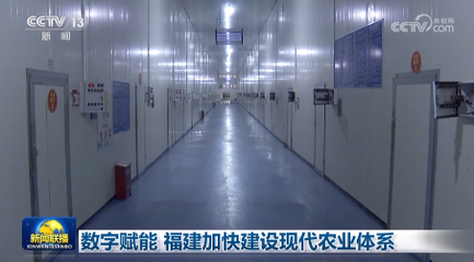 數字賦能，福建加快建設現代農業體系，提升食用農產品價值鏈