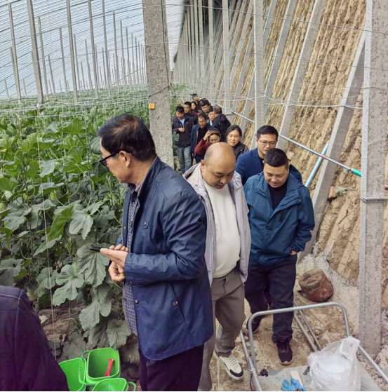 賦能農業合作社，護航舌尖安全——贊華集團助力許昌建安區農產品質量提升培訓項目圓滿結班